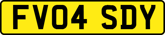 FV04SDY