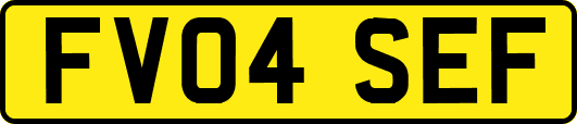 FV04SEF