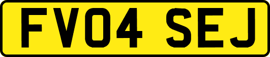 FV04SEJ