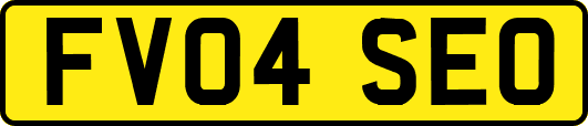 FV04SEO