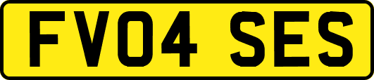 FV04SES