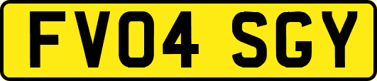 FV04SGY