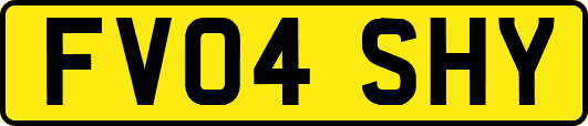 FV04SHY