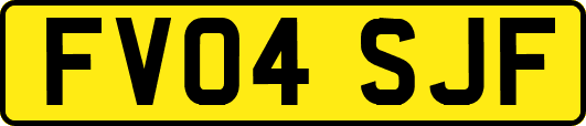 FV04SJF