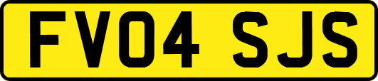 FV04SJS