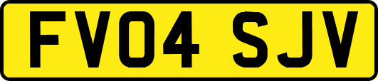 FV04SJV
