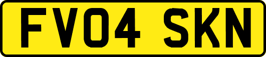 FV04SKN