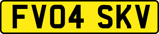 FV04SKV