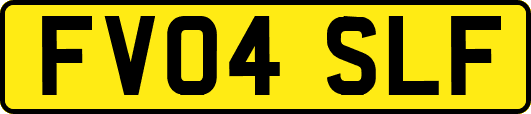 FV04SLF
