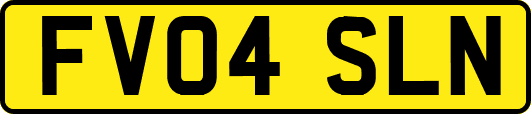 FV04SLN