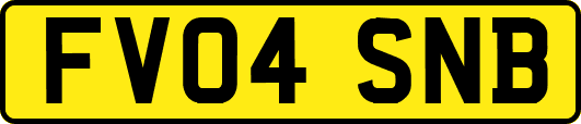 FV04SNB