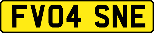 FV04SNE
