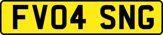 FV04SNG