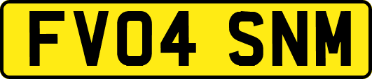 FV04SNM