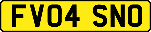 FV04SNO