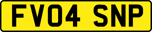 FV04SNP