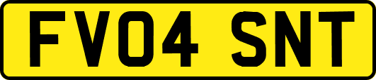 FV04SNT