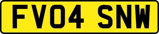 FV04SNW