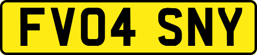 FV04SNY