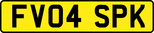 FV04SPK