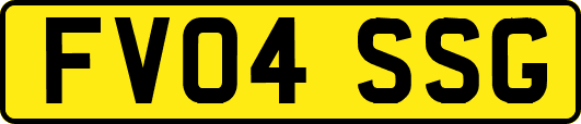 FV04SSG
