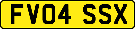 FV04SSX