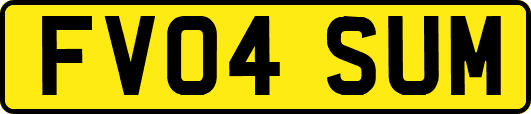 FV04SUM