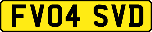 FV04SVD