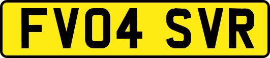 FV04SVR