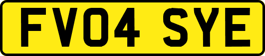 FV04SYE