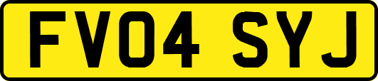 FV04SYJ