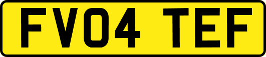 FV04TEF