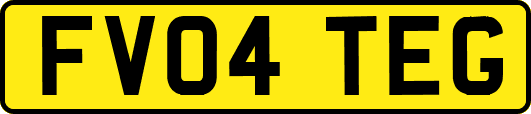 FV04TEG