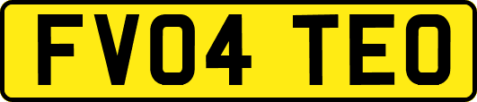 FV04TEO
