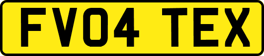FV04TEX