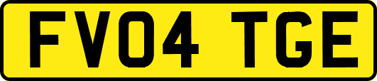 FV04TGE