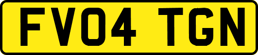 FV04TGN