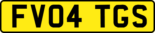 FV04TGS