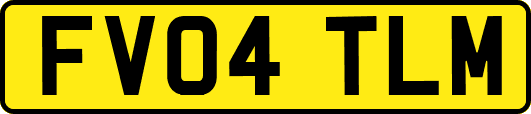 FV04TLM