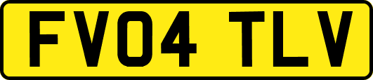 FV04TLV