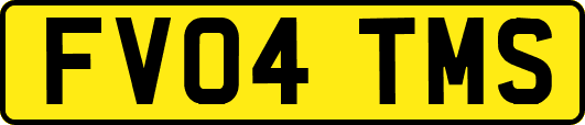 FV04TMS