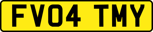 FV04TMY