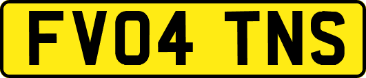 FV04TNS