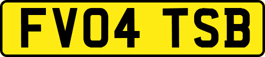 FV04TSB