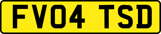 FV04TSD