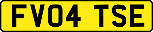 FV04TSE