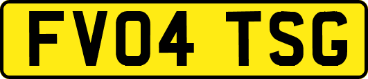 FV04TSG