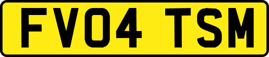 FV04TSM