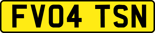FV04TSN