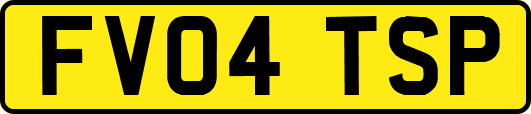 FV04TSP